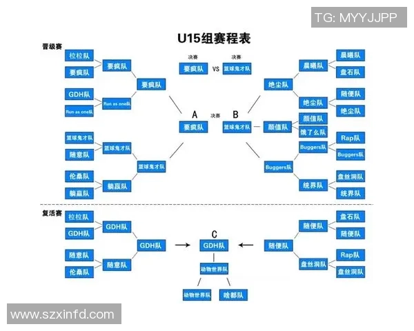 全球各国足球比赛直播软件推荐与使用指南助你不错过每一场精彩赛事