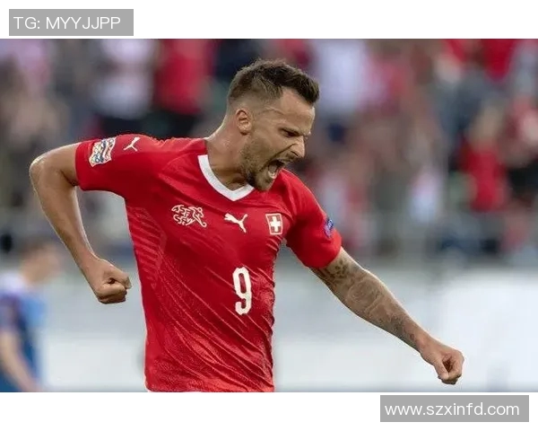 瑞士与北爱尔兰激战正酣赛果揭晓精彩瞬间回顾